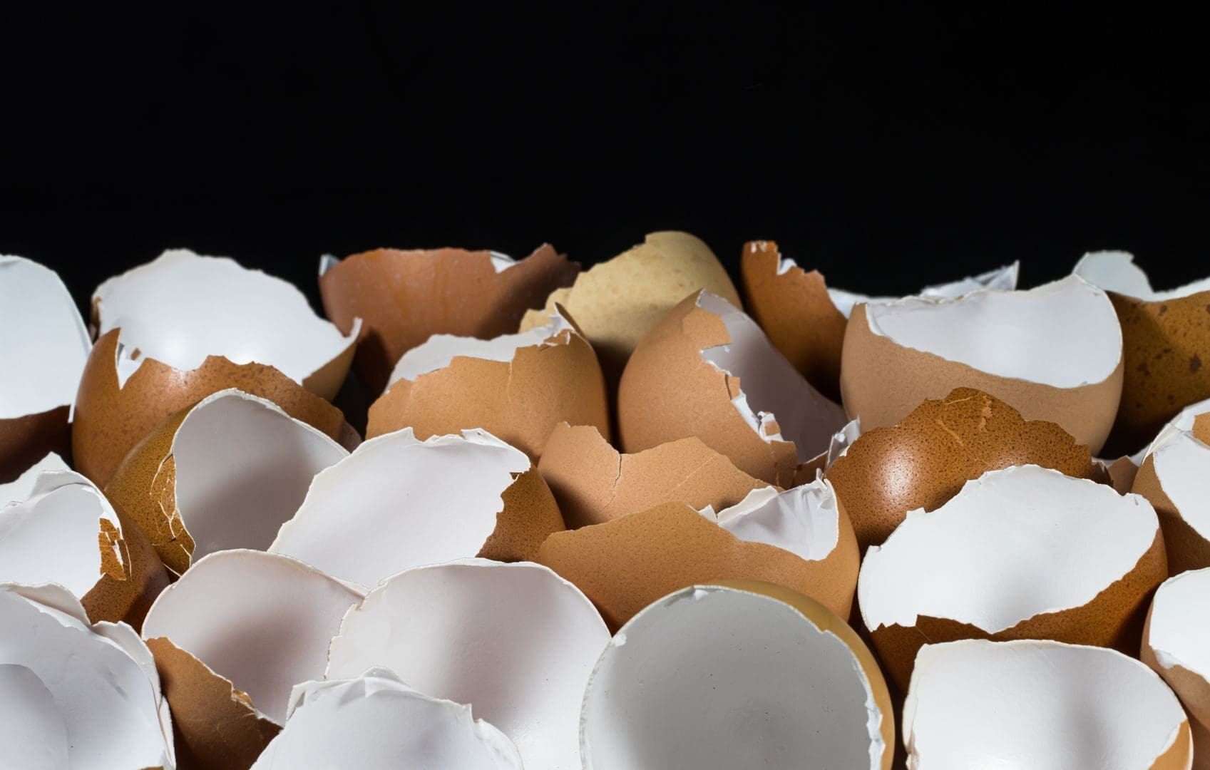 A collection of broken eggshells against a dark background, showcasing the texture and natural colors.