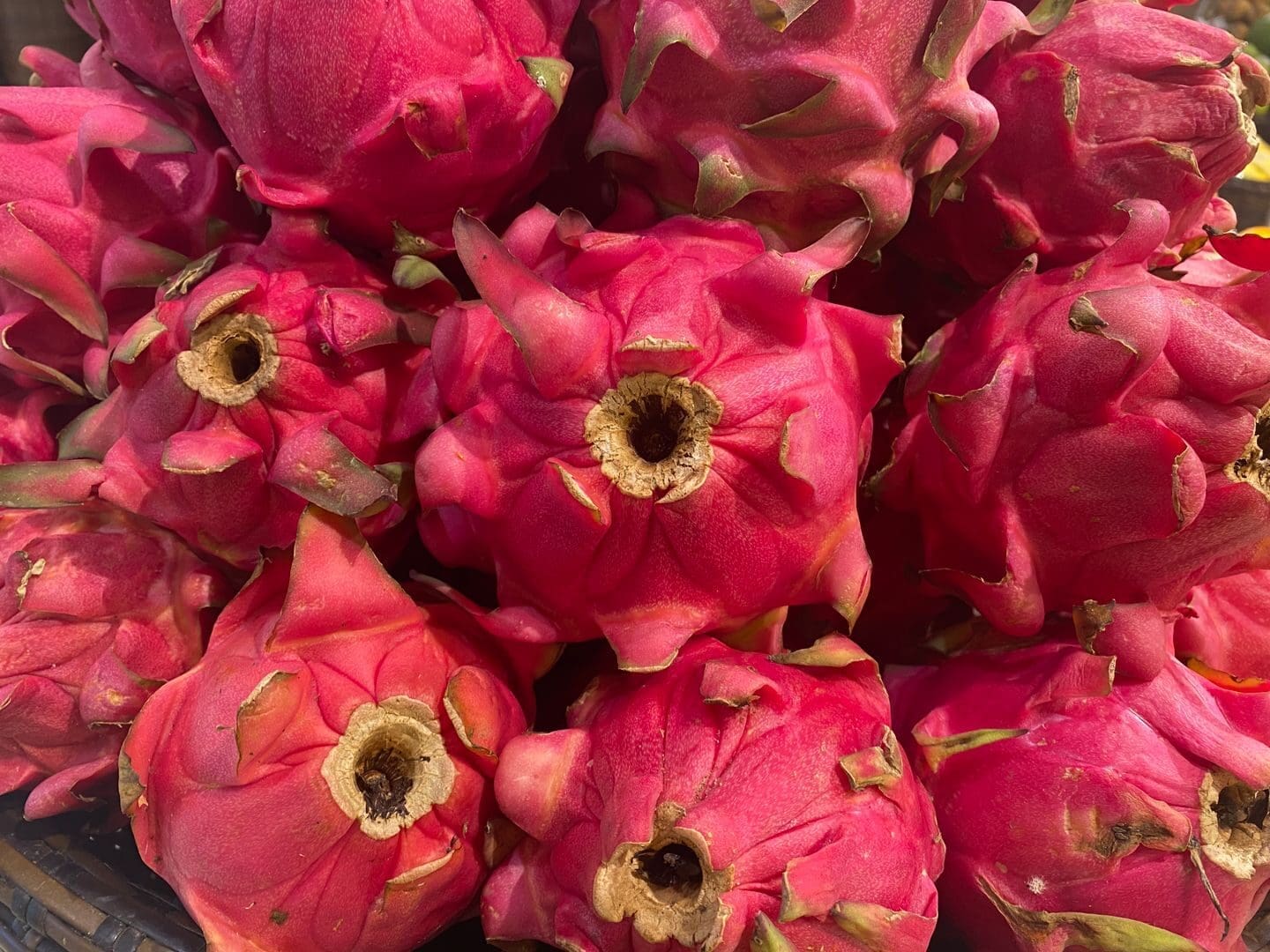 A vibrant close-up shot of fresh dragon fruits in Indonesia, showcasing their rich color and texture.