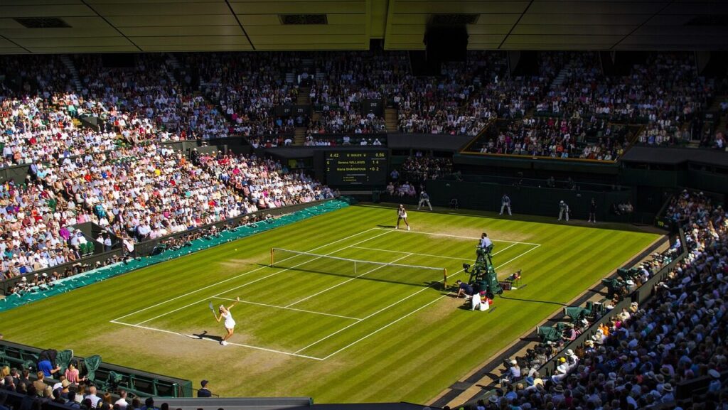 wimbledon, final, tennis, centre court, sport, women, london, wimbledon, wimbledon, wimbledon, wimbledon, wimbledon