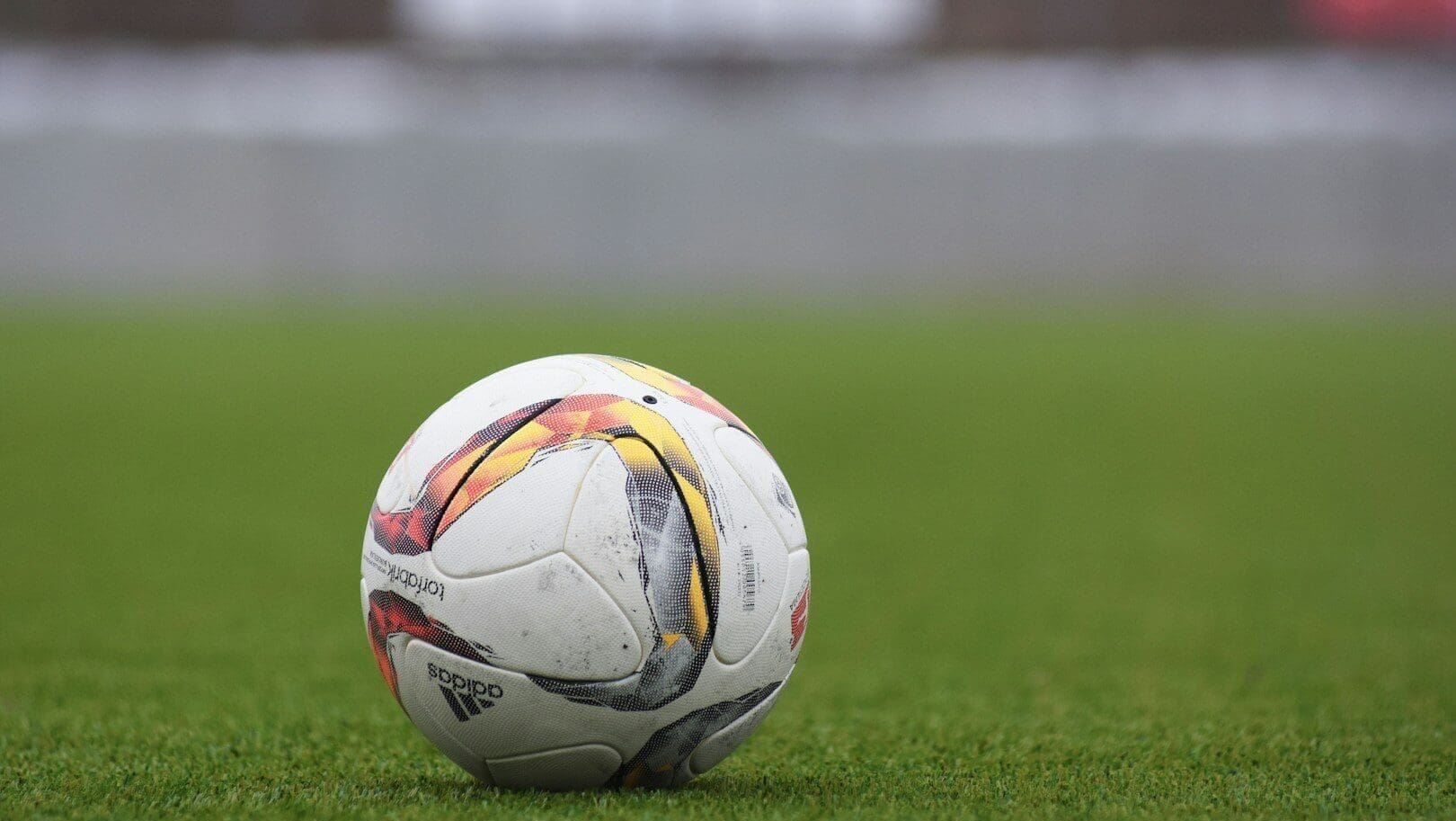 white and gray Adidas soccerball on lawn grass